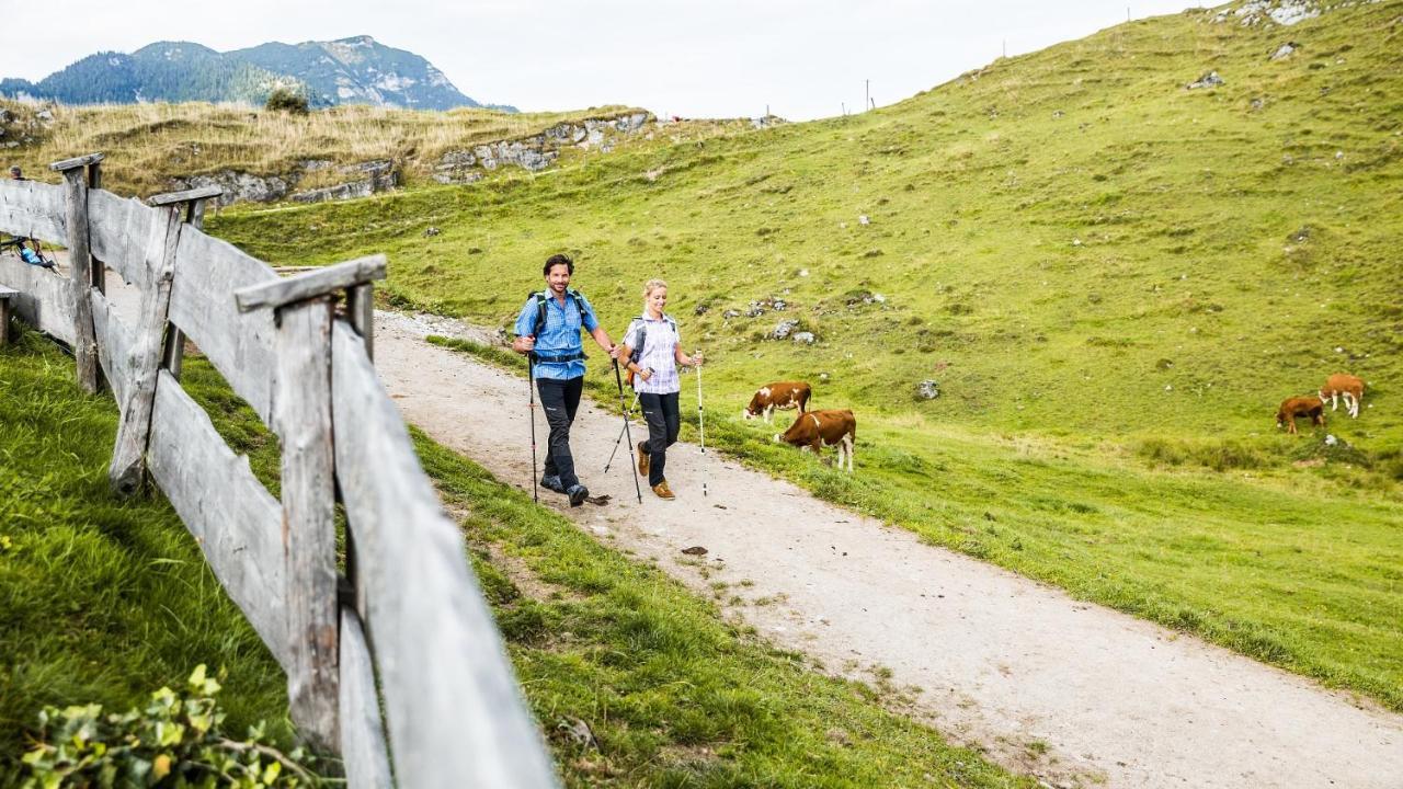 Pension Wolfsegg Kirchberg in Tirol Eksteriør billede