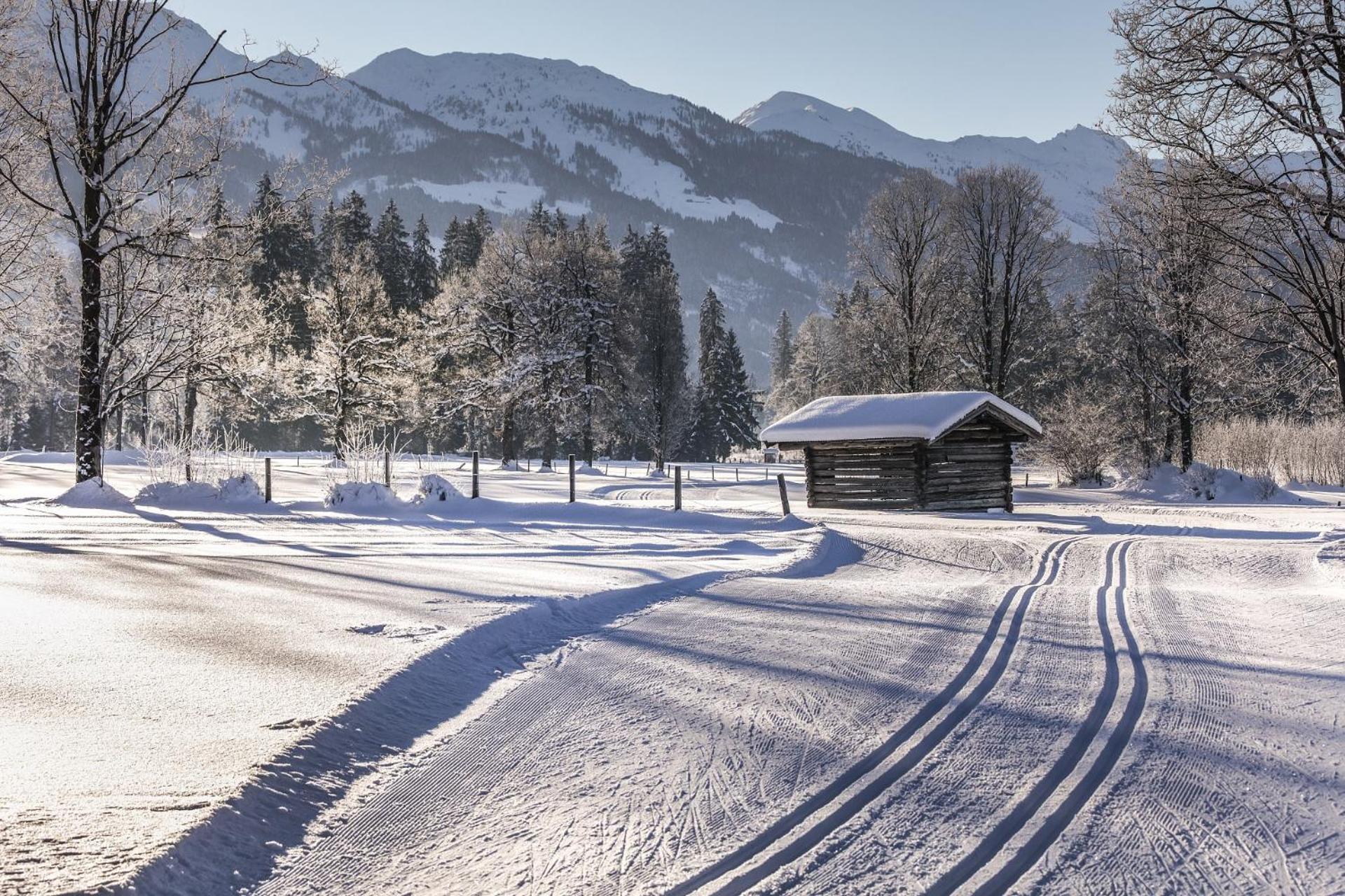 Pension Wolfsegg Kirchberg in Tirol Eksteriør billede